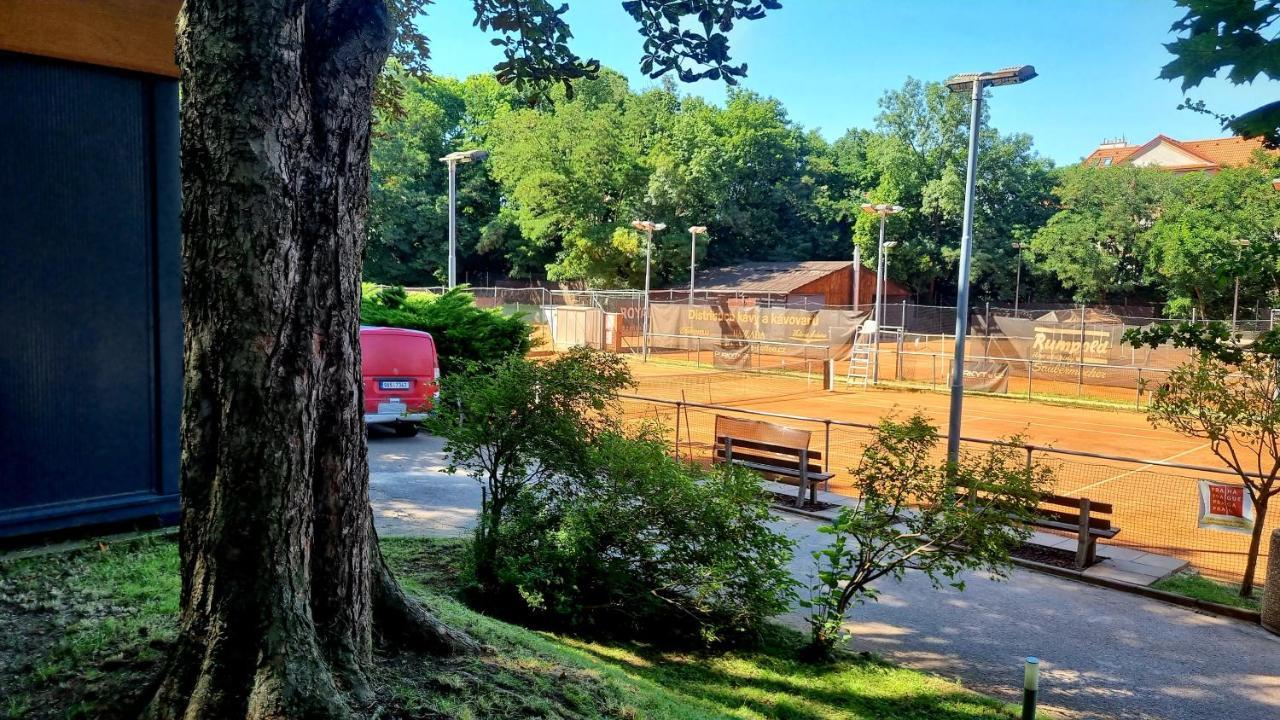Cibulka Campsite